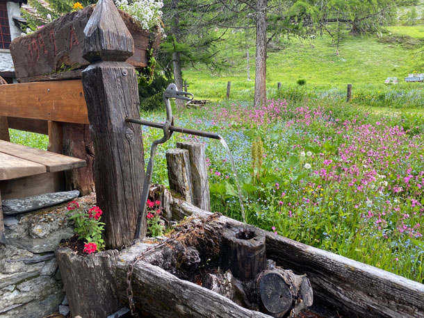 facciamo il pieno d'acqua e riprendiamo il giro