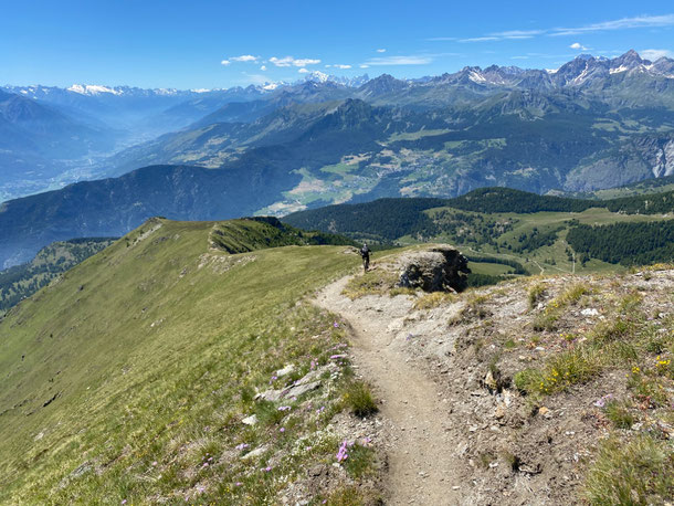 discesa ON, un paio di km di libidine panoramica con le chiappe strette