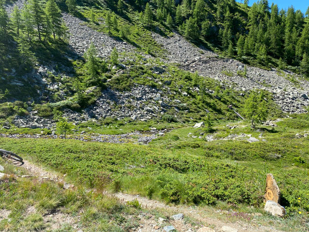 dopo una breve discesa oltre il colle di Champlong e gli omonimi laghi, ci tocca un pò di portage, la pietra ci indica la retta via.