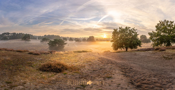Westruper Heide im Nebel