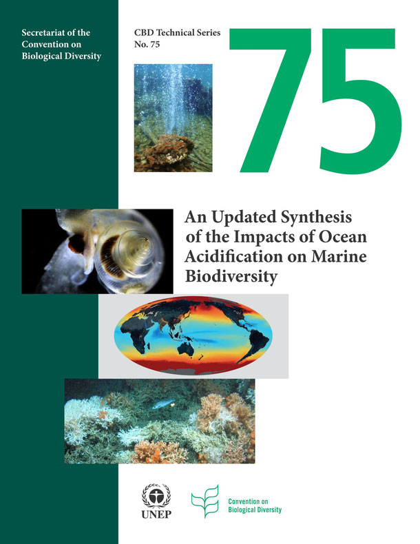 An Updated Synthesis  of the Impacts of Ocean  Acidification on Marine  Biodiversity