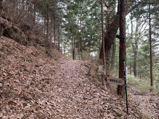 追分から一番観音へ向かう笠松山大原コース