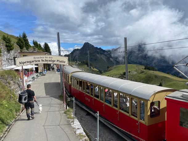 Glücklich und mit müden Füßen zurück zur alten Bahn