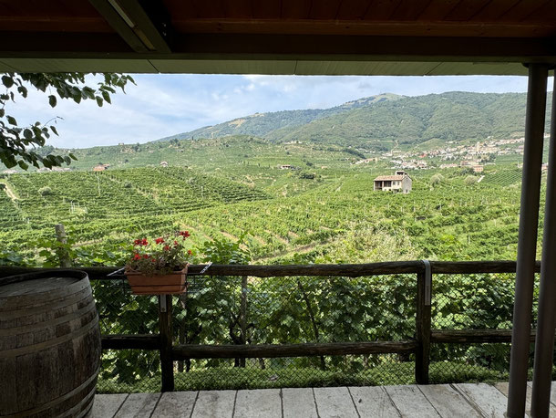 Steile Weinhänge im Valdobbiadene-Gebiet an der Proseccostraße 