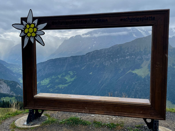 Fotopoint mit Edelweiß auf der Schynige Platte 