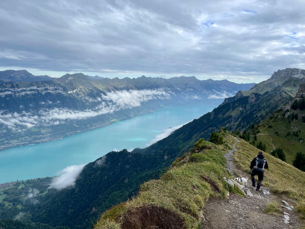 Verschwindender Nebel - der See wird immer schöner 