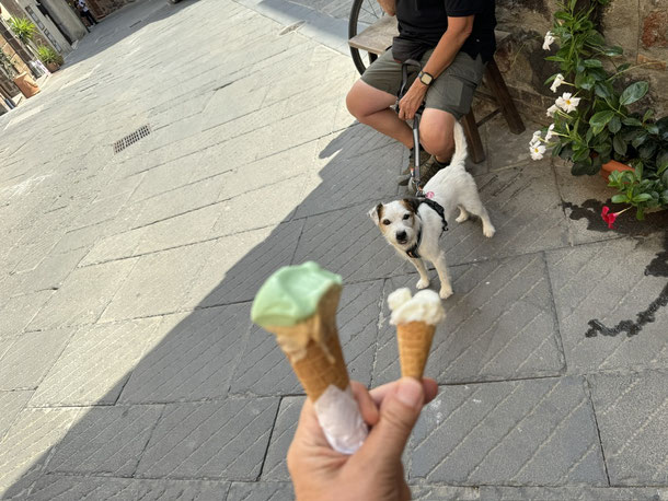 Zum 8.Hundegeburtstag darf es ausnahmsweise mal ein Kindereis für Hannes sein 