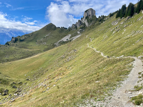 Gemütlicher Rückweg durch die sanft gewellte Hochebene - fast meditativ