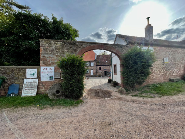 Vom Weinberg direkt auf den Hof - das Weingut Erlenmühle lädt zum Probieren ein 