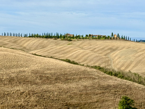 Zypressenallee des Agriturismo Baccoleno -  eines der beliebtesten Fotomotive der Toskana 