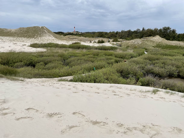Roadtrip Nordfriesland