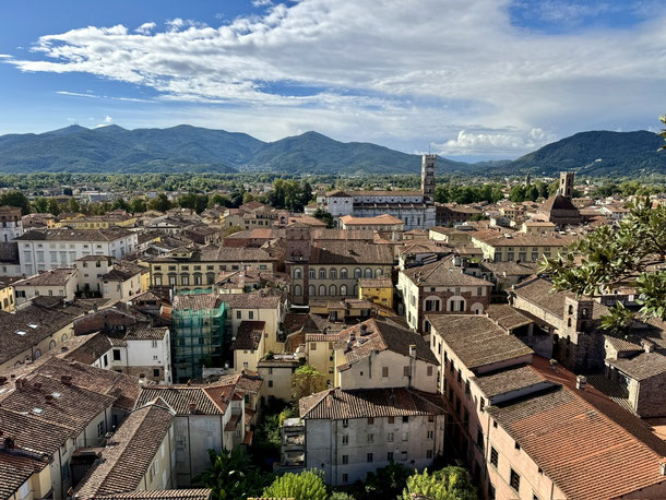 Blick vom Turm Guingi über Lucca
