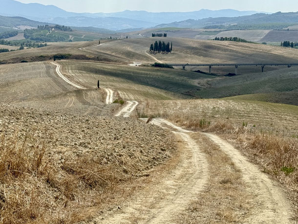 Hügeligen Landschaft des Val d´Orcia Ende August