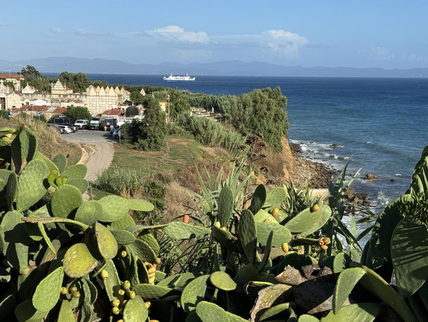 Hinter dem Friedhof mit den Wohnmobilen fahren den ganzen Tag Fähren vom Porto di Piombino nach Portoferraio auf Elba. 