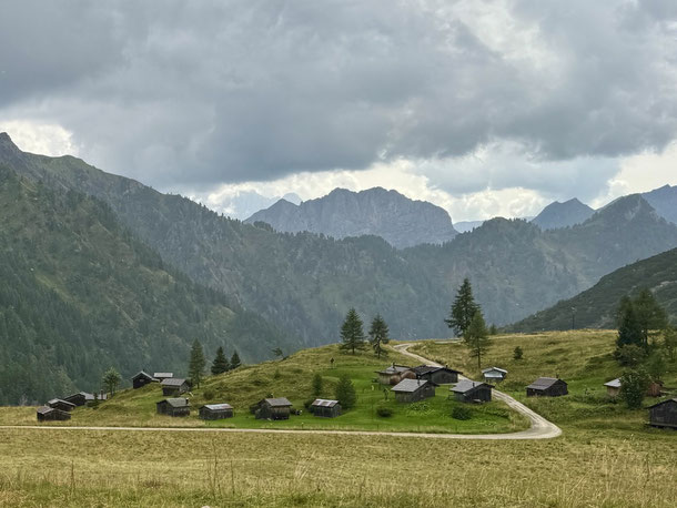 Grüne Hügel, dichte Wälder und kleine Hütten im Cordevole-Tal  