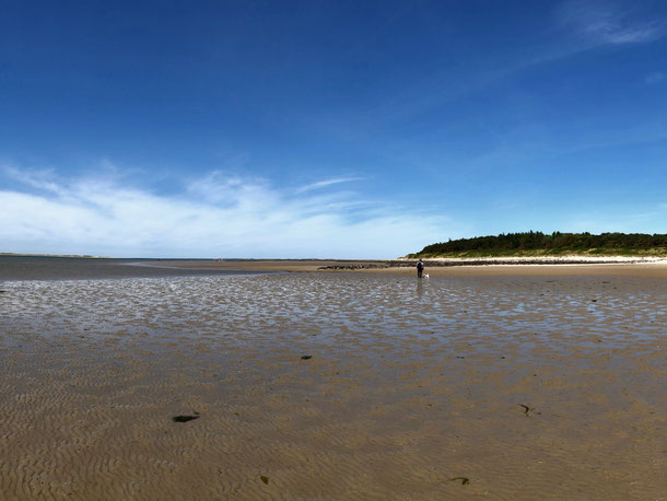 Inselauszeit auf Föhr 