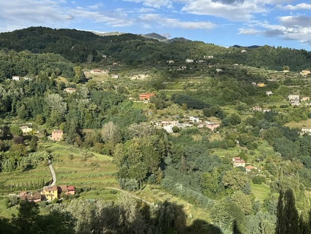 Garfagnana - sanft und hügelig mit Olivenhainen, Weinfeldern und kleinen Wäldern 