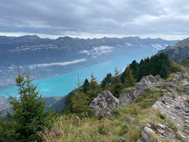 Blick auf den Brienzersee vom Aussichtspunkt Daube aus