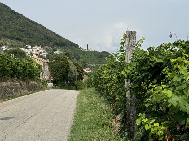 Idyllische Straßen durch die Weinberge im Herzen des Valdobbiadene-Gebietes 