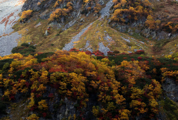 涸沢小屋上部の紅葉