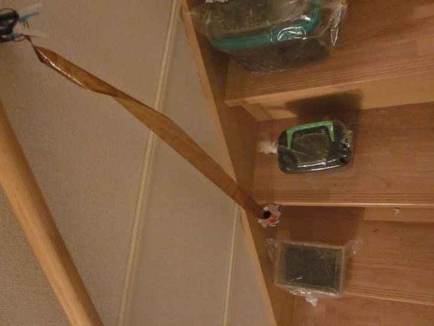 ハエ捕りリボン