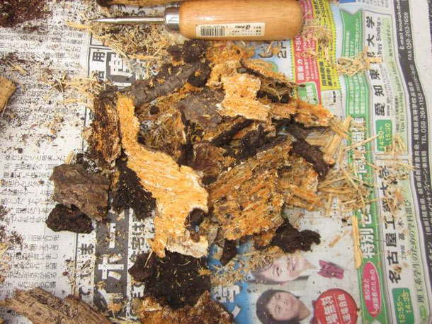 木材の剥いだ皮