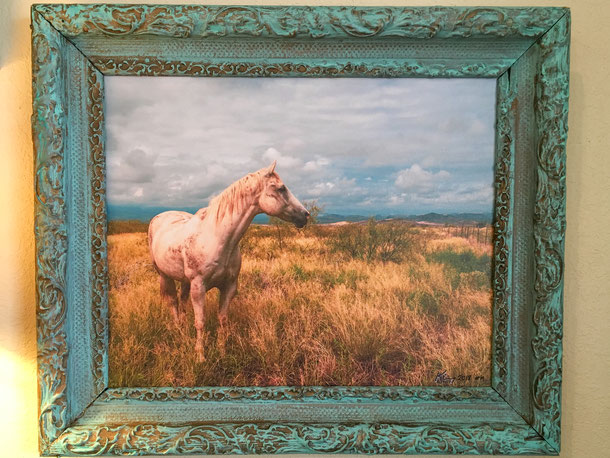 Roaming the Davis Mountains in West Texas after a storm. 19th Century frame, canvas print <still available> 