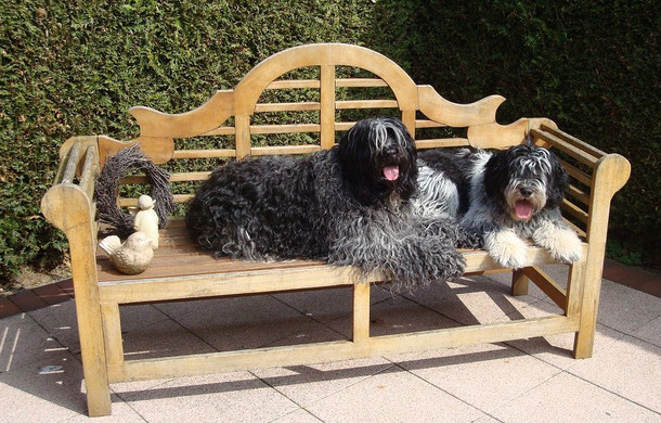 Bowyn von Walsede (rechts) mit seinem Weggefährten