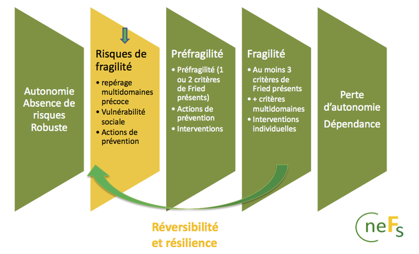 - Axe temporel, de la prévention des risques à la perte d'autonomie (Source : CNEFs) -