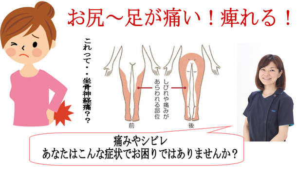 坐骨神経痛 恵比寿 代官山の女性専門整体 ありゅめ整体 坐骨神経痛 恵比寿 代官山の女性専門整体 ありゅめ整体