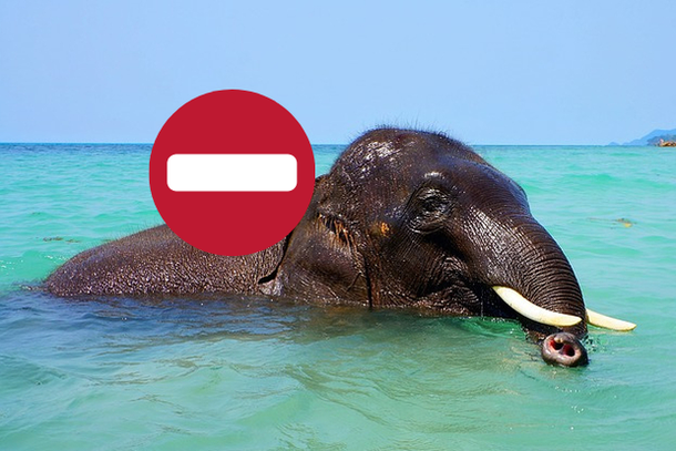 Почему нельзя кататься на слонах в Таиланде и Азии?