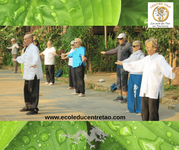 Stage de Qi Gong en Thaïlande avec un groupe de personnes âgées.