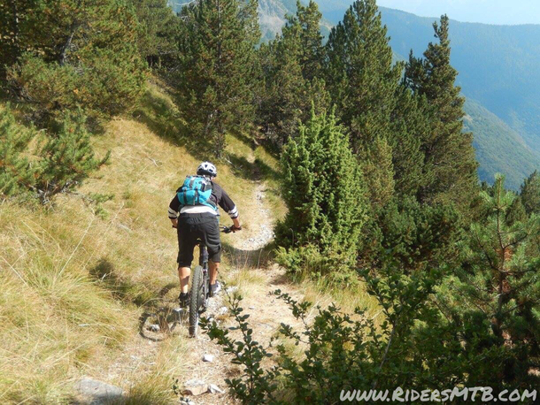 sentiero che raccorda l'ALPE TOUR e l'ALPE di GRANGE PRAPIANO