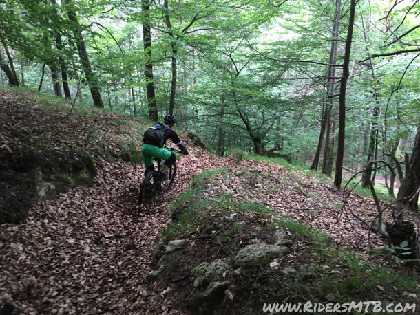 Gli ultimi metri in bosco