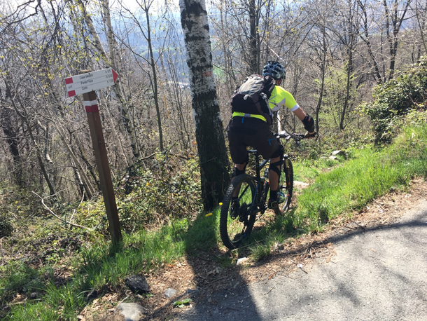 dopo una breve risalita in asfalto si svolta a destra seguento il single track in direzione CASE MESTRIN - PONTE PICCA-CORIO