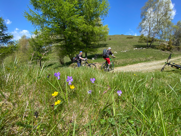 in alto si esce dal bosco