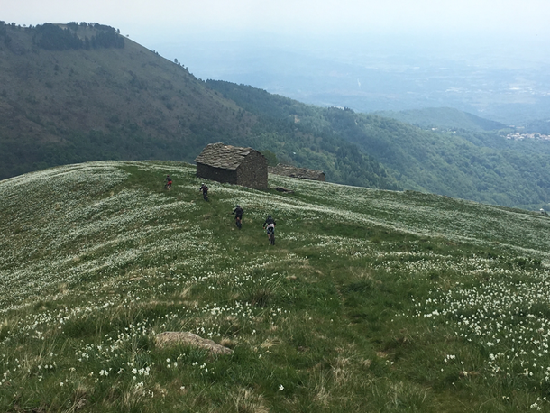 ad una gita panoramica aggiungiamo due discese di tutto rispetto.......SENTIERO DEL BASILISCO