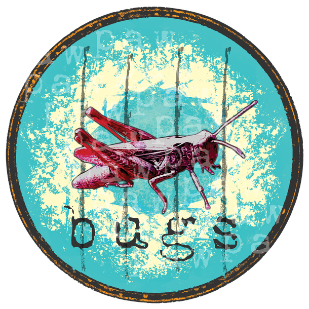 natur, cool, streetart, Weihnachten, tiere, bugs, poppig, Insekt, bug, tierwelt, design, Comicstyle, Heuschrecke, Pop-Art, zoo, comic, grashopper, popart, wildnis, Animal Planet, ethno, mystisch