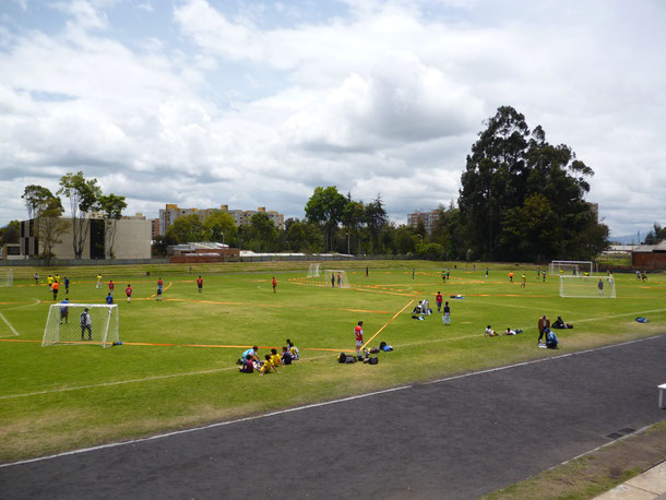 TORNEOS FUTBOL 3 COLOMBIA EN 2013