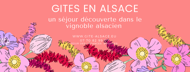 cadeau-gite-gite-alsace