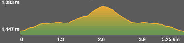 Perfil ruta senderisme TC196 Alp - Roca castellana