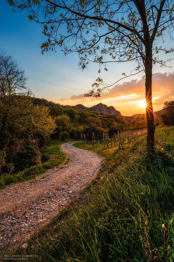 Tramonto sui colli euganei