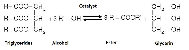 Source: http://grupoqog6.pbworks.com/w/page/16303274/Qu%C3%A9%20es%20el%20Biodiesel; modified.