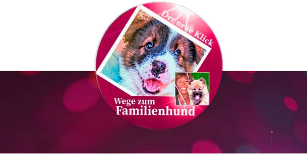 Therapiehund_Assistenzhund_Erziehung