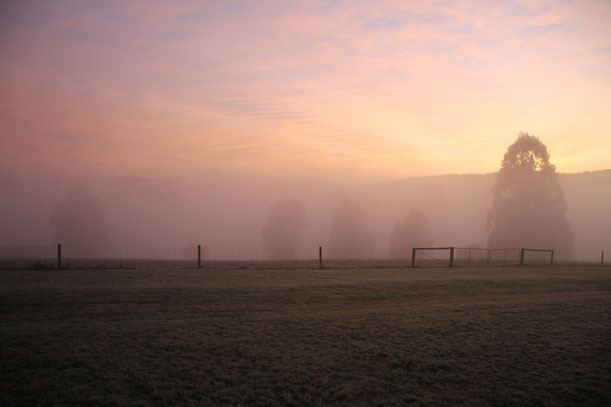 Winter Mornings as we look out.