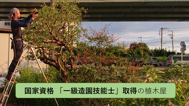 庭　手入　剪定　植木　造園