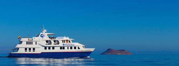 Kreuzfahrt Galapagos Inseln auf der Natural Paradise