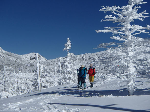 北八ヶ岳 雪山 スノーシュー ガイド