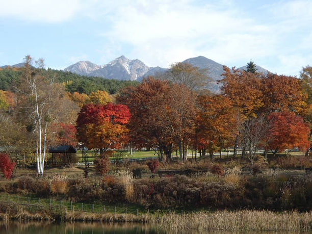 2021　八ヶ岳　紅葉情報