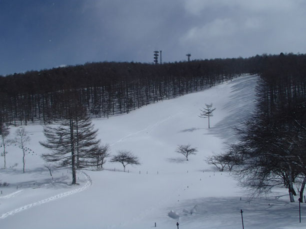 入笠山　スノーシュー　ガイド